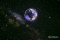GYP_GCC Planetarium-082